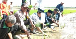 Bupati Wajo Terpilih Ajak Masyarakat Budi Daya Padi Organik