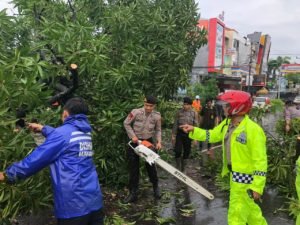 Pohon Tumbang, Sabhara Polda Sulsel Gerak Cepat Evakuasi