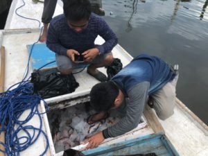 Polda Sulsel Berhasil Ungkap Pelaku Bom Ikan di Pangkep