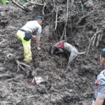 K-9 Polda Sulsel Temukan 7 Jenazah Korban Bencana Alam Longsor di Gowa