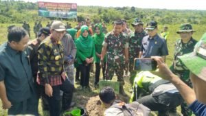 Bupati Wajo Tanam Pohon di Daerah Tandus Dan Gersang, Dalam Rangka Gerakan Penghijauan Serentak