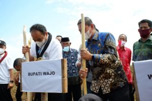 Wamendes PDTT Tanam Padi Gogo