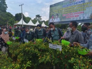 Gubernur Sulsel Janjikan Bantuan Pupuk Cair Untuk Petani Cabei di Wajo