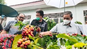 Kunjungi Kebun Kopi di Polman, Bupati Wajo Langsung Perintahkan Kadis Pertanian Lakukan Kajian