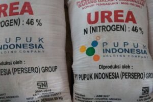 Warga Keluhkan Terbatasnya Pupuk Bersubsidi di Wajo
