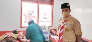 Peringati Hari Pramuka, Kwarcab Pramuka Wajo Lakukan Donor Darah