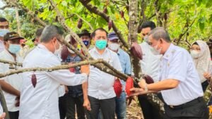 Pimpinan BNI Janji Salurkan KUR Untuk Petani Kakao di Wajo
