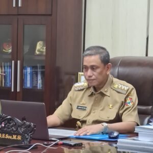 Amran Presentasikan Potensi Pembangunan Pupuk mini NPK di Wajo