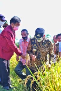 Libatkan Lembaga Perbankan, Pemkab Wajo Dorong Petani Kembangkan Pertanian Terpadu
