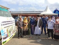 Menjadi Sentra Produksi Kacang Hijau Terbesar di Sulsel, Wajo Kirim 3 Truk ke Jawa