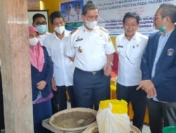 Ikan Sapu-Sapu Diolah Dari Hama Predator Jadi Makanan Protein Tinggi