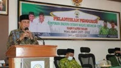 Ismirar Sentosa Gantikan Syahrulyali Razak Sebagai Ketua DMI Wajo