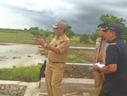 Turun Langsung Meninjau, Bupati Wajo Harap Ruas Jalan Macero-Ujung Kessi Segera Dinikmati Masyarakat