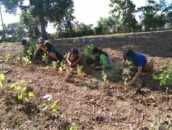 Petani Murbei di Wajo Keluhkan Belum Cairnya Dana Pemeliharaan Tanaman Murbei