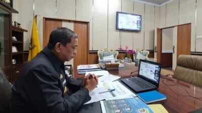 Ikuti Webinar Kementan, Amran Mahmud Jabarkan Konsep Pertanian Terpadu di Wajo