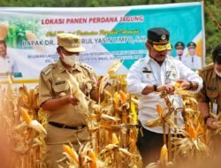 Kunjungan ke Wajo, Mentan SYL Beri Perhatian ke Program Pertanian Terpadu