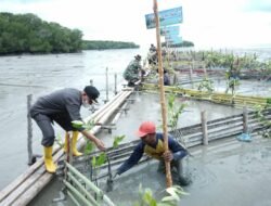 Dukung Program Pemerintah Pusat, Forkopimda Asahan Tanam 10.000 Pohon Mangrove