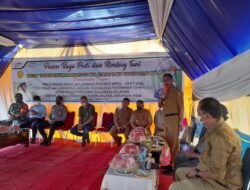 Wakil Bupati Wajo Hadiri Panen Raya di Belawa