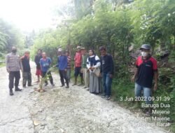 Kesal Dengan Janji Pemerintah, Warga Tanam Pisang di Jalan Rusak di Segeri Majene