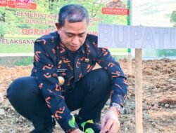 Bernilai Ekonomi, Bupati Wajo Ajak Masyarakat Sukseskan Program Sejuta Pohon
