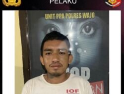 Cabuli Pelajar Hingga Hamil, Tukang Batu Ditangkap Polisi