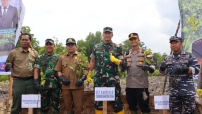 Forkopimda Provinsi Sumatera Utara Penanaman Bibit Mangrove