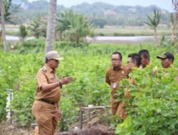 Keliling Lintas Kecamatan, Bupati Wajo Ajak Masyarakat Budi Daya Murbei dan Ulat Sutera