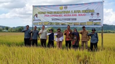 Dukung Ketersediaan Pangan Nasional, Pemkab Wajo Ikuti Panen Padi Nusantara Sejuta Hektar