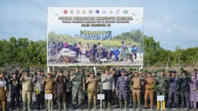 Usai Mengikuti Penanaman Mangrove Nasional, Bupati Asahan Harapkan Ini