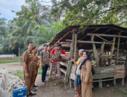 Jelang Idul Adha, Pemkab Asahan Lakukan Pemeriksaan Hewan Qurban