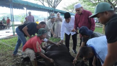 Idul Adha 1444 H, Pemerintah Kabupaten Asahan Sembelih 125 Hewan Qurban