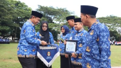 Upacara HKN, Bupati Wajo Serahkan Penghargaan Ombudsman RI Perwakilan Sulsel ke OPD Dan Puskesmas