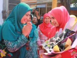 Berkunjung ke Wajo bersama Pj Gubernur Sulsel, Ketua Dekranasda Sulsel Apresiasi Pesona Sutera Wajo