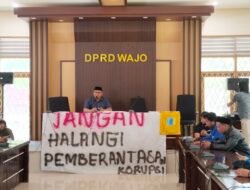 Gelar Unjuk Rasa, Mahasiswa Pertanyakan Progres 25 Program Kerja Bupati Wajo