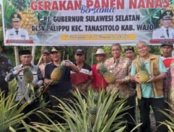 Pj Gubernur Sulsel Inisiasi Pengembalian Kejayaan Palippu Sebagai Penghasil Nenas, Bupati Wajo Beri Apresiasi