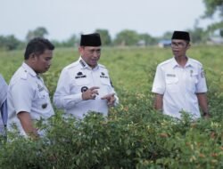 Pemkab Wajo Bantu Selamatkan Pertanaman Saat El-Nino, Petani Sampaikan Terima Kasih Ke Bupati dan Wabup