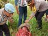 Sat Reskrim Polres Wajo Ungkap Kasus Pembunuhan di Pitumpanua