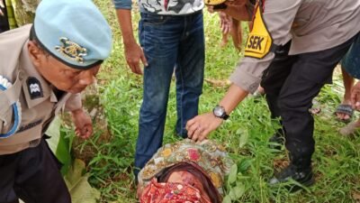 Sat Reskrim Polres Wajo Ungkap Kasus Pembunuhan di Pitumpanua