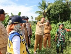 Pemkab Wajo Salurkan 2.5 Ton Beras Untuk Korban Banjir di Sabbangparu