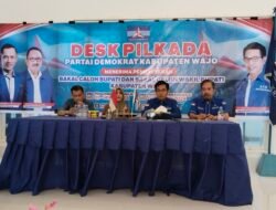 Daftar di Partai Demokrat, Andi Fadillah Burhanuddin Siap Bertarung Pilkada Wajo 2024