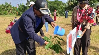 Peringati Hari Lingkungan Hidup Sedunia, Ketua Komisi II DPRD Wajo Lakukan Penanaman Pohon