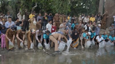 Wakil Bupati Asahan Tabur Benih Bibit Ikan Di Teluk Dalam