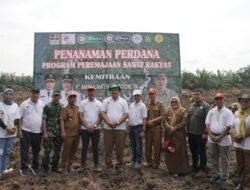 Wakil Bupati Asahan Ikuti Penanaman Perdana Program PSR
