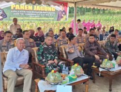 Dampingi Kapolda Sulsel, Panen Jagung, Ketua DPRD Wajo Apresiasi Program Ketahanan Pangan