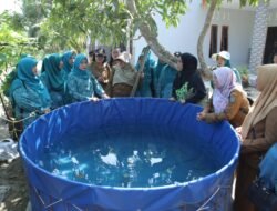 Ketua PKK Kabupaten Asahan Monitoring Lomba Hatinya PKK Tingkat Sumut di Desa Banjar