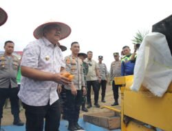 Panen Raya Jagung di Asahan, Polres dan Forkopimda Dorong Swasembada Pangan