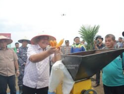 Panen Raya Jagung, Forkopimda Asahan Dorong Swasembada Pangan