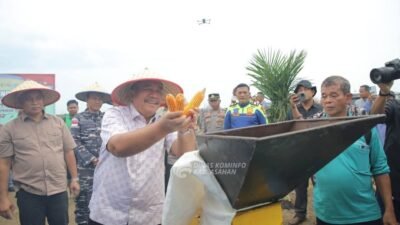 Panen Raya Jagung, Forkopimda Asahan Dorong Swasembada Pangan