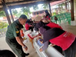 Babinsa Koramil 1406-06/Pammana Dampingi Kegiatan Posyandu di Desa Kampiri