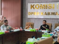 Polemik Proyek Penataan Taman Rujab Bupati Wajo, Sekda Perintahkan Hentikan Pekerjaan di Lokasi